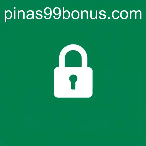 Exploring Privacy Policies with a Focus on PINAS99 BONUS